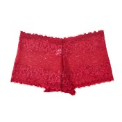 LCBN251225100205 歐美輕薄網紗透視誘惑火辣蕾絲鏤空內褲女士低腰棉檔平角褲款