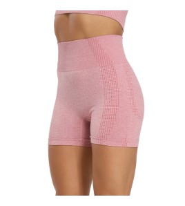 LYG100259短褲高腰三分瑜伽褲