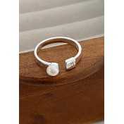 LCR3016 S925純銀幸運四葉草項鏈