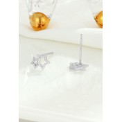 LDR24012 S925純銀五角星耳環