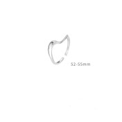 LDR24003 S925純銀潮流戒指