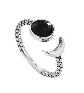 LDR24017 S925純銀潮流戒指