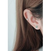 LDR24018 S925純銀仙人掌耳環