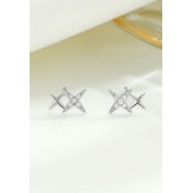 LDR24025 S925純銀星星耳環