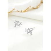 LDR24025 S925純銀星星耳環