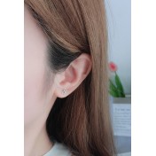 LDR24025 S925純銀星星耳環