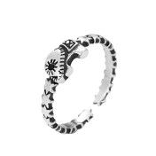 LDR24037 S925純銀潮流戒指