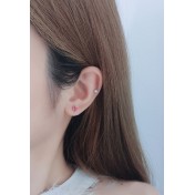 LDR24039 S925純銀潮流耳環