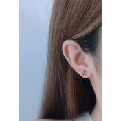 LDR24048 S925純銀潮流耳環