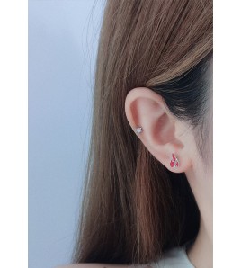 LDR24048 S925純銀潮流耳環