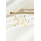 LDR24051 S925純銀潮流耳環