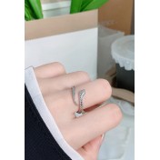 LDR24052 S925純銀潮流戒指