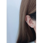 LDR24053 S925純銀潮流耳環