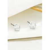 LDR24054 S925純銀潮流耳環