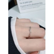 LDR24067 S925純銀潮流戒指