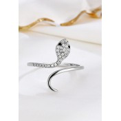 LDR24070 S925純銀潮流戒指