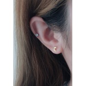 LDR24071 S925純銀潮流耳環