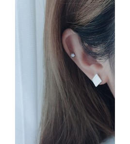 LDR24074 S925純銀潮流耳環