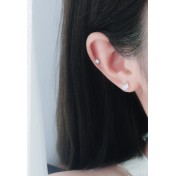 LDR24305 S925純銀獨角獸月光石耳環