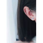 LDR24305 S925純銀獨角獸月光石耳環