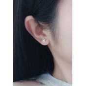 LDR24330 S925純銀簡約光面雪花耳環