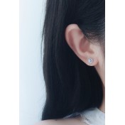 LDR24332 S925純銀鋯石花朵耳釘耳環