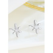 LDR24340 S925純銀簡約鋯石星形耳環