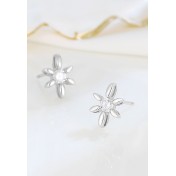 LDR24340 S925純銀簡約鋯石星形耳環