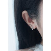 LDR24350 S925純銀簡約個性樹葉耳環