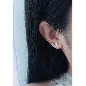 LDR24351 S925純銀滴釉白色貝殼海星耳環