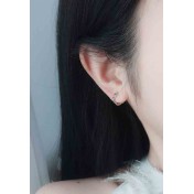 LDR24367 S925純銀花朵耳環