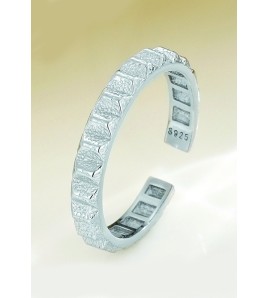 LDR4104 S925純銀時尚戒指