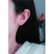 LDR4122 S925純銀星球耳環