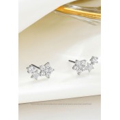 LDR4246 S925純銀星星耳環