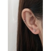 LDR4260 S925純銀愛心耳環