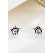 LDR4274 S925純銀星星耳環