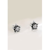 LDR4274 S925純銀星星耳環