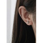 LDR4278 S925純銀星星耳環