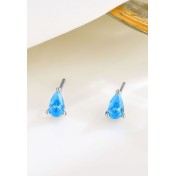 LDR6207 S925純銀時尚鋯石耳環