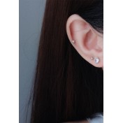 LDR6211 S925純銀心形耳環