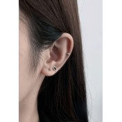 LDR6217-6 S925純銀水滴形耳環