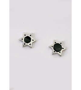 LDR6221-1 S925純銀六芒星耳環