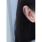 LDR6233 S925純銀心與箭耳環