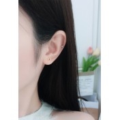 LDR9228 S925純銀紅色愛心耳環