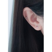 LDR9228 S925純銀紅色愛心耳環