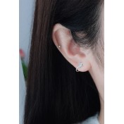 LDR9233 S925純銀星星耳環