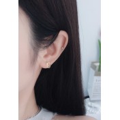 LDR9237 S925純銀潮流耳環