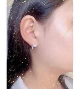 LMZJ048-Moissanite  0.3 Carart -point moissanite earrings
