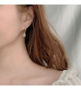 LMZJ053-Moissanite 925 silver earrings