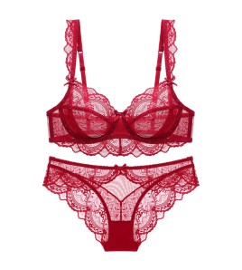 WLMZ113100001 法式蕾絲內衣女超薄無海綿性感內衣套裝大胸顯小防下垂上托文胸罩